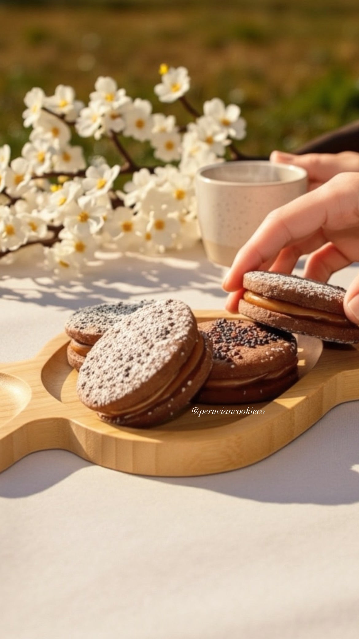 Box of 15 Alfajores (Classic Size) — Denver metro area